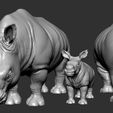 Rhino (7).jpg Rhino