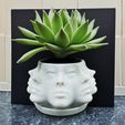 il_fullxfull.5888361338_orxv.jpg Multi Face Planter - Poly Face Planter No Supports