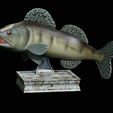 zander-trophy-2.png zander / pikeperch / Sander lucioperca fish in motion trophy statue detailed texture for 3d printing