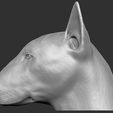 11.jpg Bull Terrier dog for 3D printing