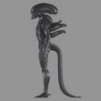 alien_side-view.jpg Модель инопланетного ксеноморфа