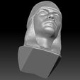 19.jpg Axl Rose bust 3D printing ready stl obj formats