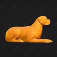 2558-Boxer_Pose_08.jpg Boxer Dog 3D Print Model Pose 08