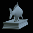 carp-statue-28.png fish carp / Cyprinus carpio statue detailed texture for 3d printing