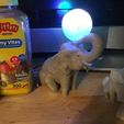IMG_4230.JPG Elephant playing with ball nightlight
