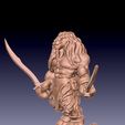 Lion-with-two-swords-2.jpg Lion gladiator with an attitude