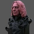 Screenshot_3.jpg Severus Snape Bust