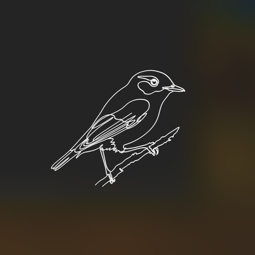 Arctic Warbler 2 lineart 3d printed 3D model preview