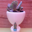 taytideco-robert-conCactus.png Robert Plant with cactus, with pot in hand