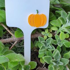20190911_120044.jpg Archivo STL Carteles de verduras - calabaza・Objeto de impresión 3D para descargar