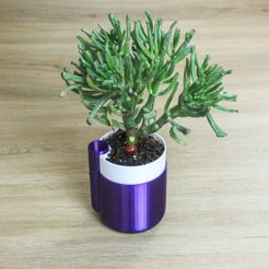 Self-Watering Planter (Small)