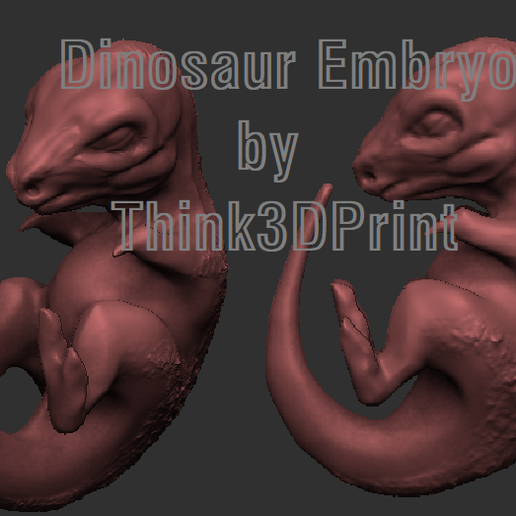 Dino Embryo THink3dprint.png Файл STL Детеныш динозавра - спящий・Дизайн для загрузки и 3D-печати, Think3dprint