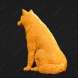 244-Alaskan_Malamute_Pose_04.jpg Alaskan Malamute Dog 3D Print Model Pose 04