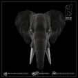 3.jpg Archivo 3D Elephant key holder・Design para impresora 3D para descargar