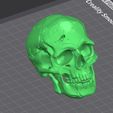 2.jpg scull