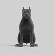 4.jpg American Pitbull Pose 02