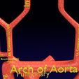 PS0011.jpg Human arterial system schematic 3D