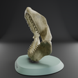 Megalodon-jaw-3.png Megalodon jaw 3D print model
