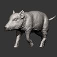 small-boar12.jpg Small boar 3D print model