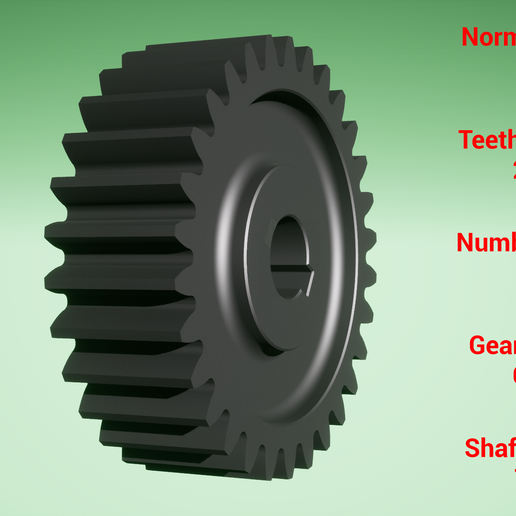 STL file Cylindrical gear - paired - z30 m2 D64 d12・3D printer design ...