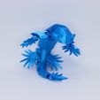 blue-sea-dragon-cover.jpg Blue sea dragon articulated