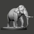 05.jpg Elephant Asian