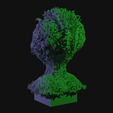 vid0077.png Alien Insectoid Bust