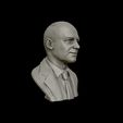 14.jpg Dwight D Eisenhower Portrait Sculpture 3D print model