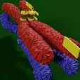 0012.jpg Chromosome homologous centromere kinetochore blender 3d model