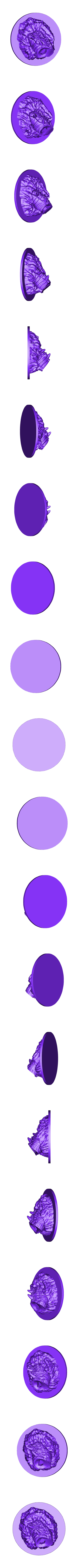 purple_worm_part1.stl Verme viola