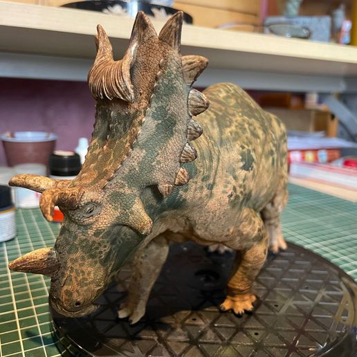 Spiclypeus shipporum