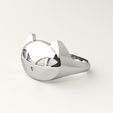 cat-ring-12.jpg Cat ring
