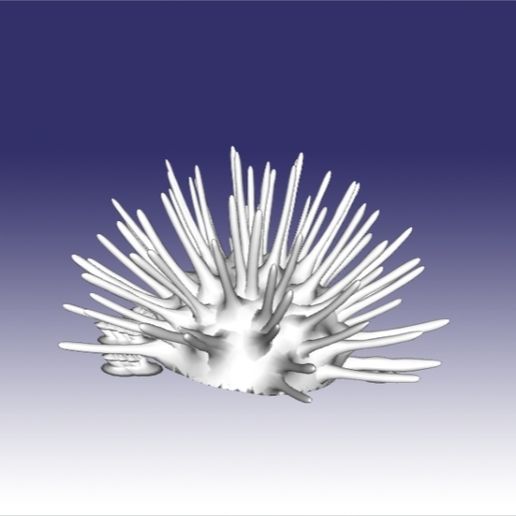 kestane kalın0007.jpg Download OBJ file Sea Urchin • 3D printable object, Dsignrcmc