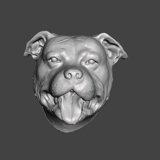 2021-04-27-22_38_52-Window.png DOG HEAD STAFFORSHIRE BULL TERRIER STAFFY PITBULL DOG .obj .stl