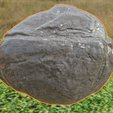 Rock image7.png Low poly stone for games or animations
