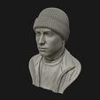 05.jpg Eminem 3D portrait sculpture 3D print model