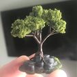 34853707986dbecb9459d5c4b3ea6390_display_large.JPG Wargaming Tree growing on Rocks / Ruin