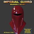 imguard.jpg Full Scale Imperial Guard Costume Mask (30 Pieces)