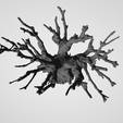 MINI-BONSAI-BUIS-02-4.png МИНИ БОНСАЙ САМШИТ 02
