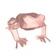 model-6.png Frog low poly no.1