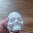 Snapchat-749852340.jpg Skull decor / skull holder / skull wall decor / hanging skull