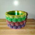 IMG_20251228_081653.jpg Jardinera Bubble Pop