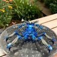 S__15671318.jpg Machine spider