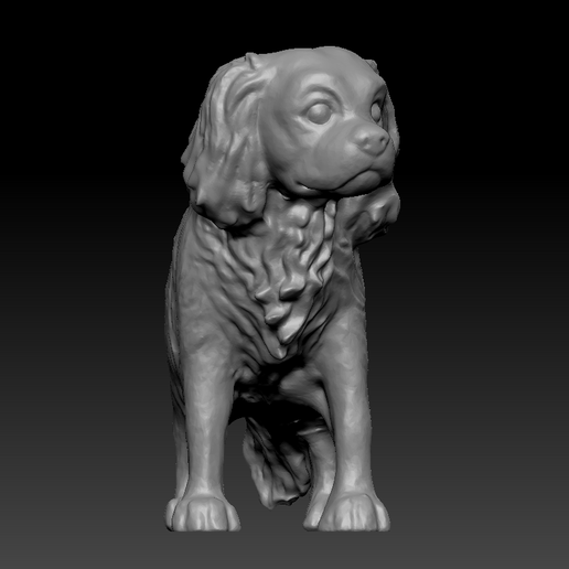 c2.png Cavalier Rey Carlos