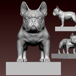 vvvv.jpg FRENCH DOG - decor statue mascot destop - 3d Print