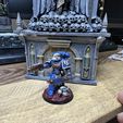 Graia's Veteran Defender