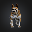 Screenshot-2025-10-19-at-5.42.58 PM.png Hyper/ultra realistic dog
