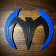 IMG_7411.jpg Nightwing Batarang Birdarang Wingding