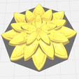 01.png Flor, Cato, Suculenta, Folhas de suculenta, Flor de Natal, Folhas de suculenta, Flor de estrela