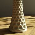 IMG_20240317_080639.jpg Vase Organic11